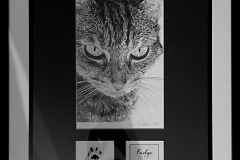Cat-pencil-portrait-framed