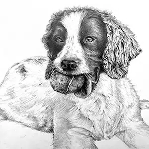 June Carter - Preston