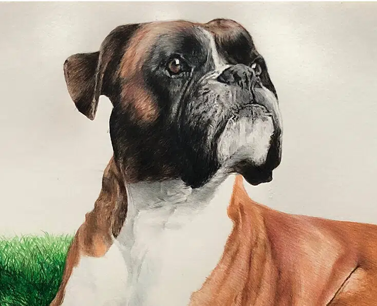 DOUGAL